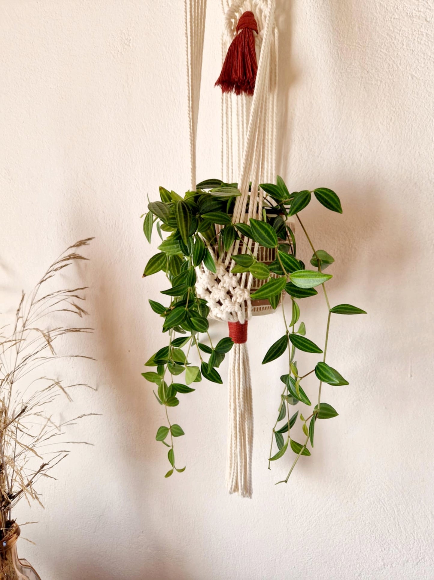 Suspension murale pour plante