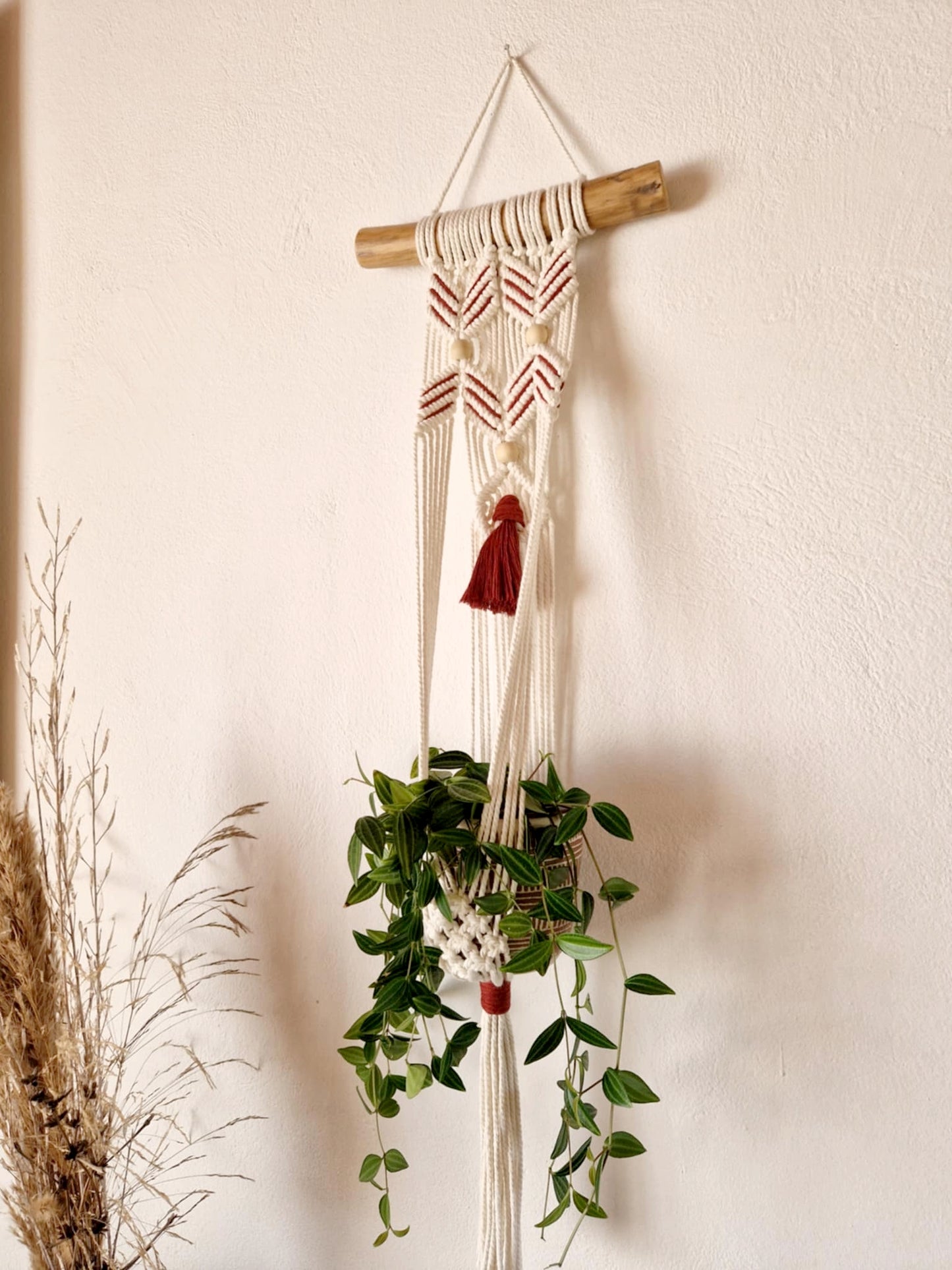 Suspension murale pour plante