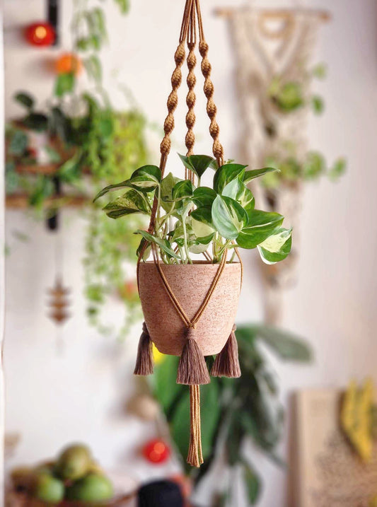 Suspension CAFE AU LAIT