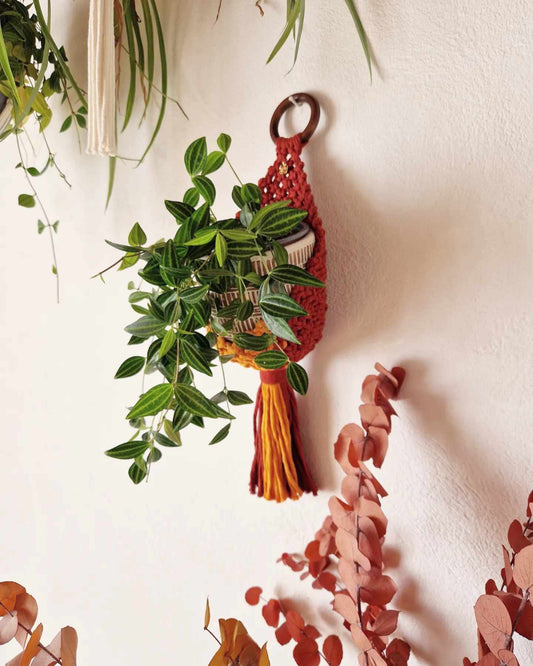 Petite suspension panier