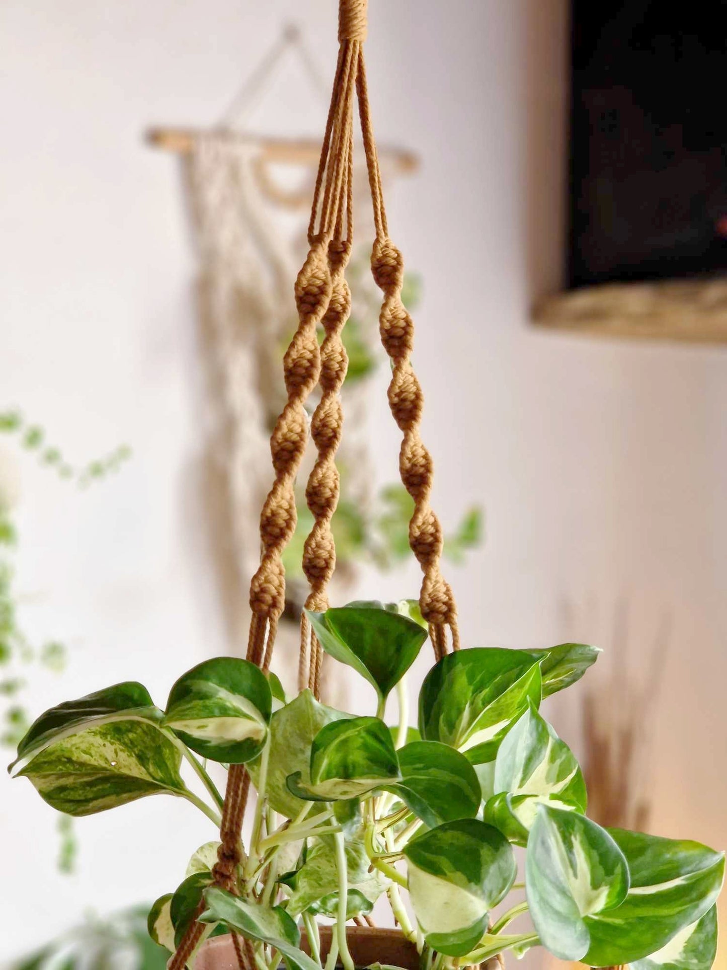 Suspension CAFE AU LAIT